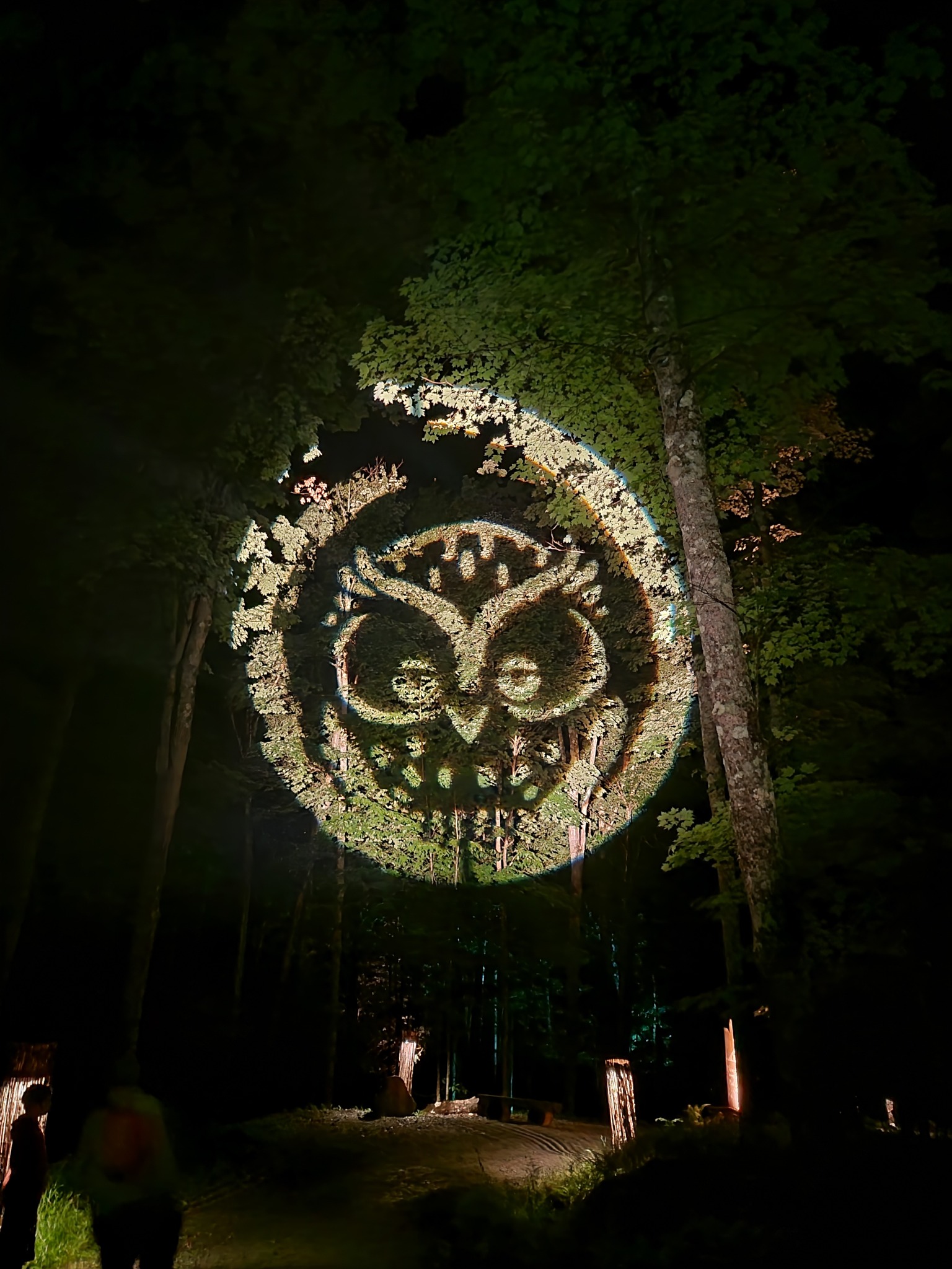 Projection sur les arbres